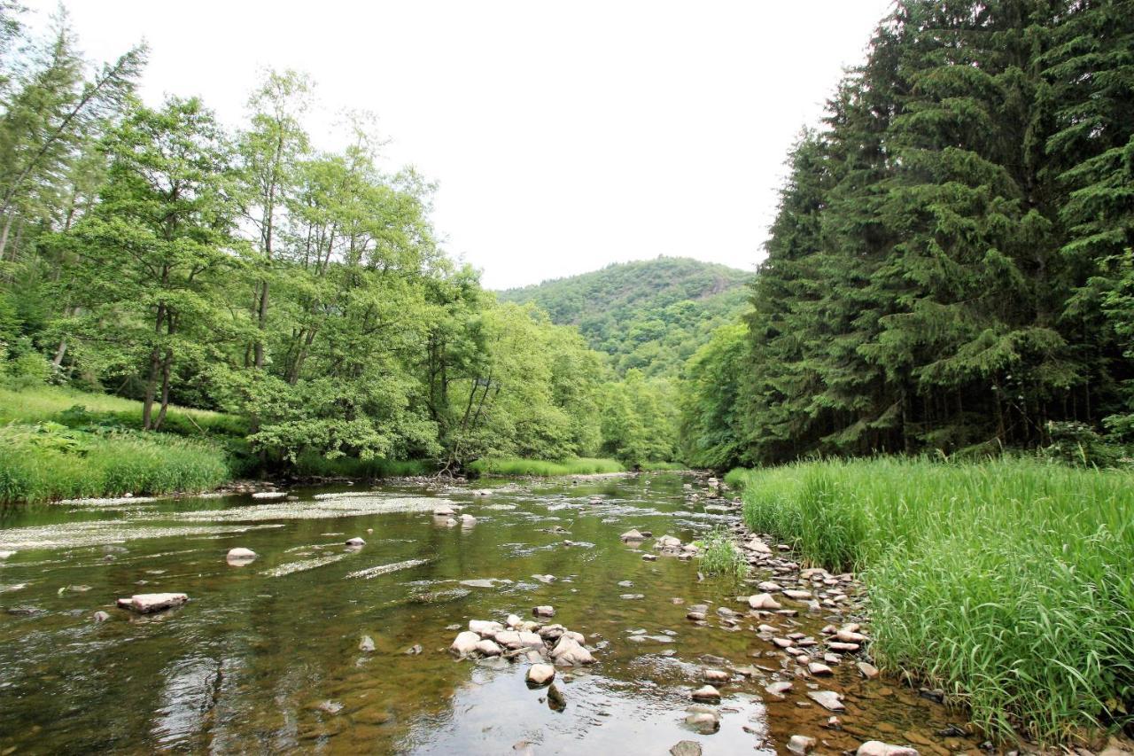 Gasthaus Pension Geimer Plütscheid Esterno foto